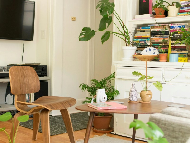Wohnzimmer mit Pflanzen