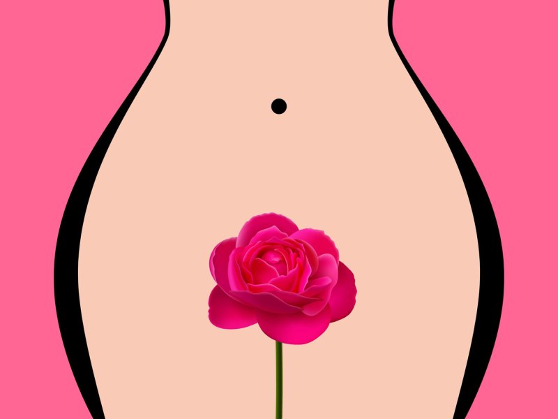 Zeichnung einer Frau mit einer Rose vor ihrer Intimzone