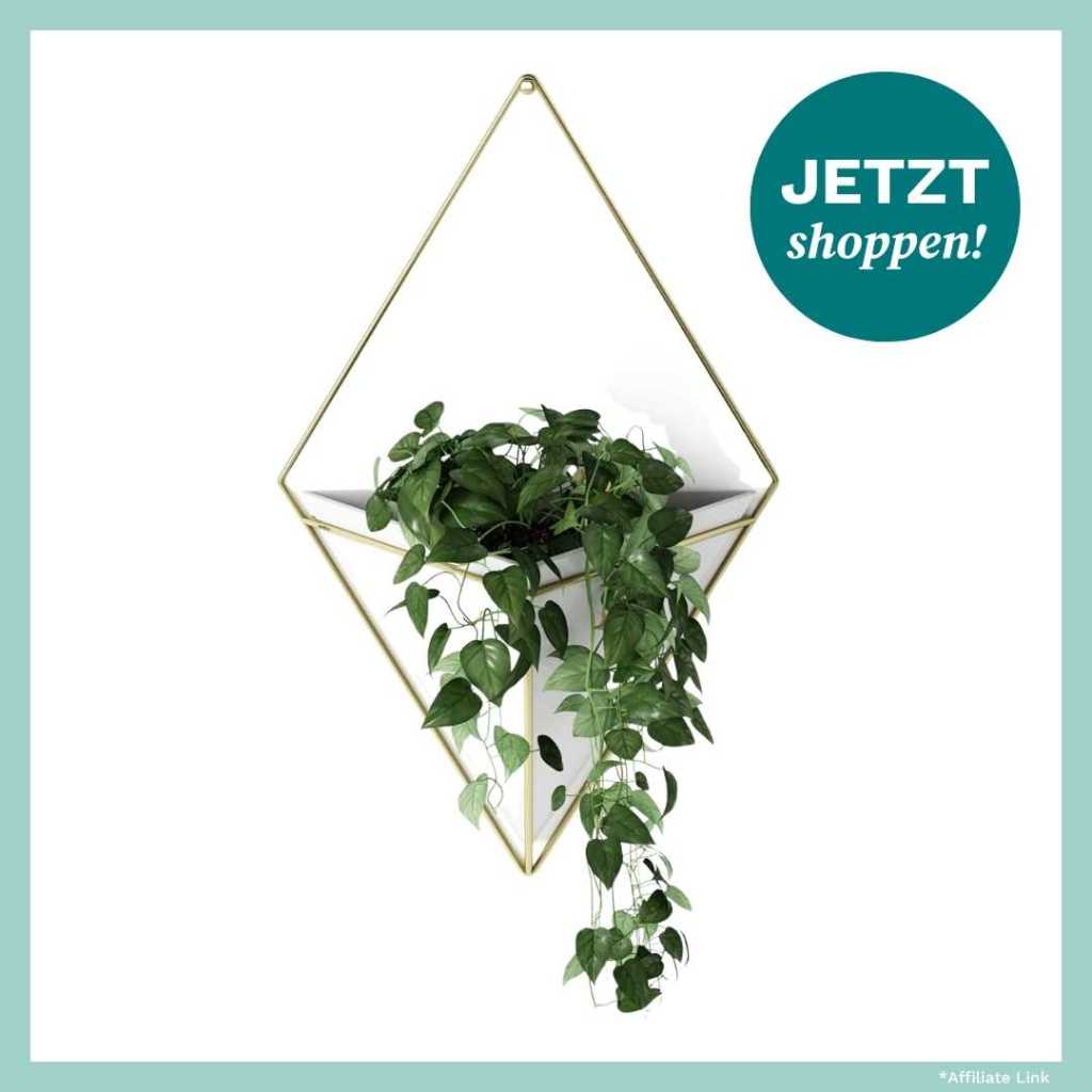 Geometrische Wandhalter von Amazon