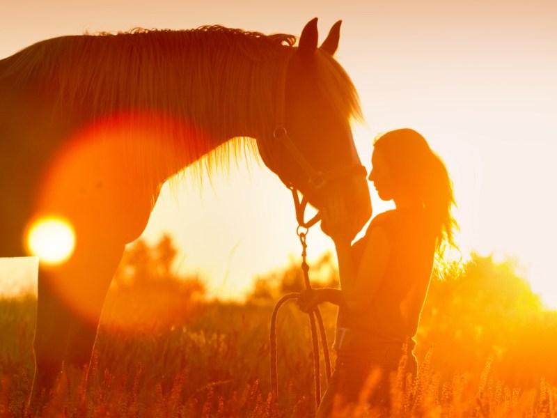 Frau mit Pferd vor Sonnenuntergang