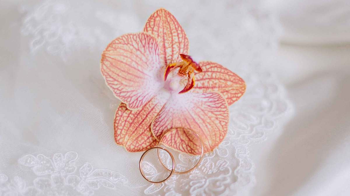 Orchidee auf einem Hochzeitskleid mit goldenen Eheringen.