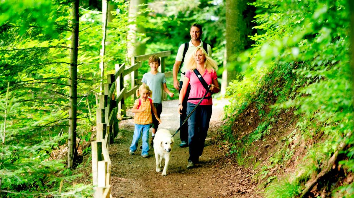 Mutter, Vater, zwei Kinder und Hund wandern durch den Wald.