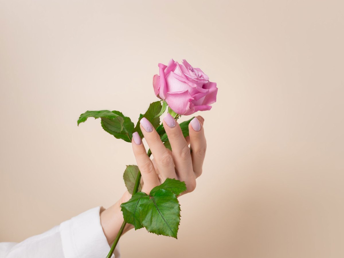 Hand mit rosa lackierten Fingern&auml;geln und in der Hand eine Rose