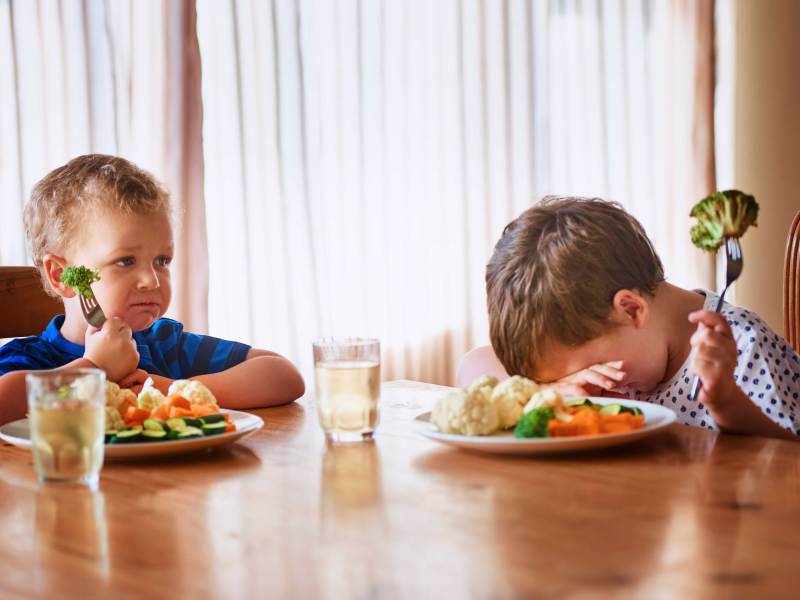 Zu einer gesunden Ernährung gehört auch Gemüse. Trotzdem essen viele Kinder Erbsen, Möhren oder Brokkoli nicht. Was macht man da?