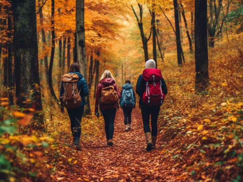 Gruppe von Wanderern in herbstlichem Wald