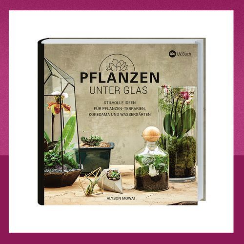 Geniales Buch zum Thema Pflanzen im Glas