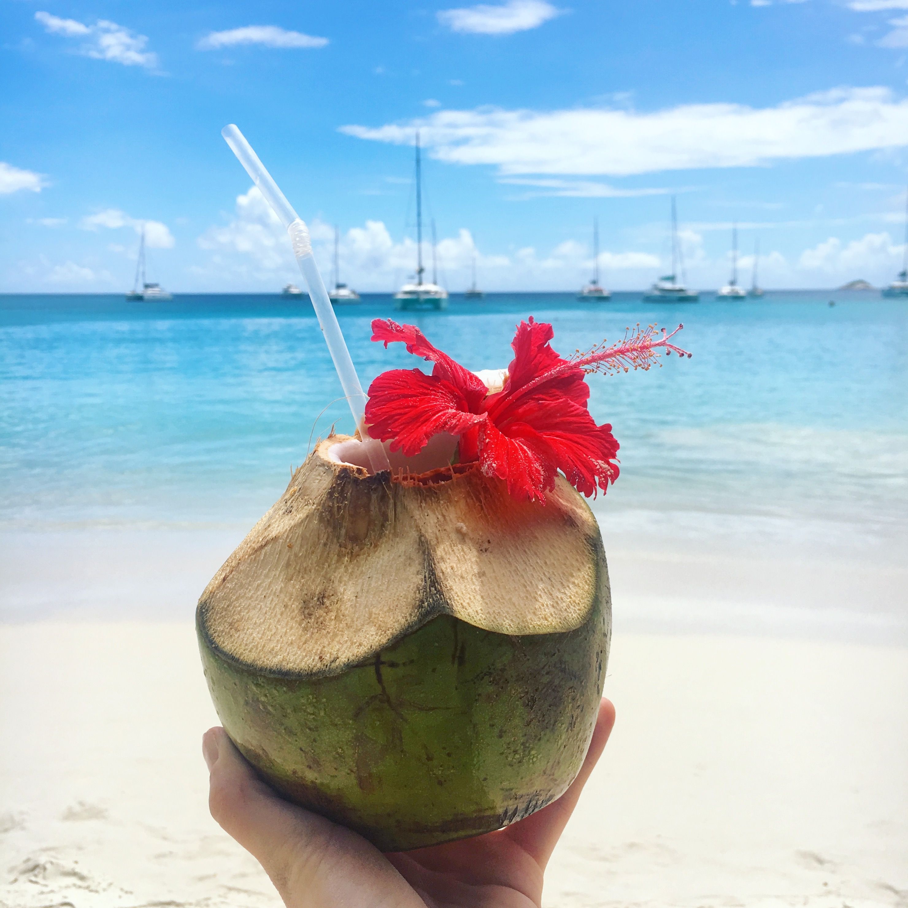 Frische Kokosnuss am Strand
