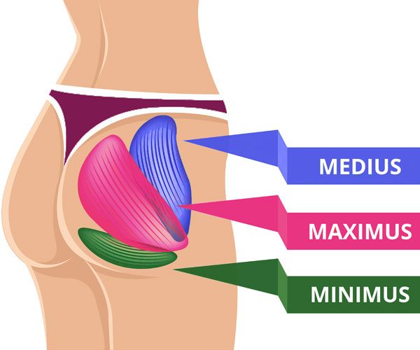 Po-Formen: Diese Muskeln geben deinem Po die Form