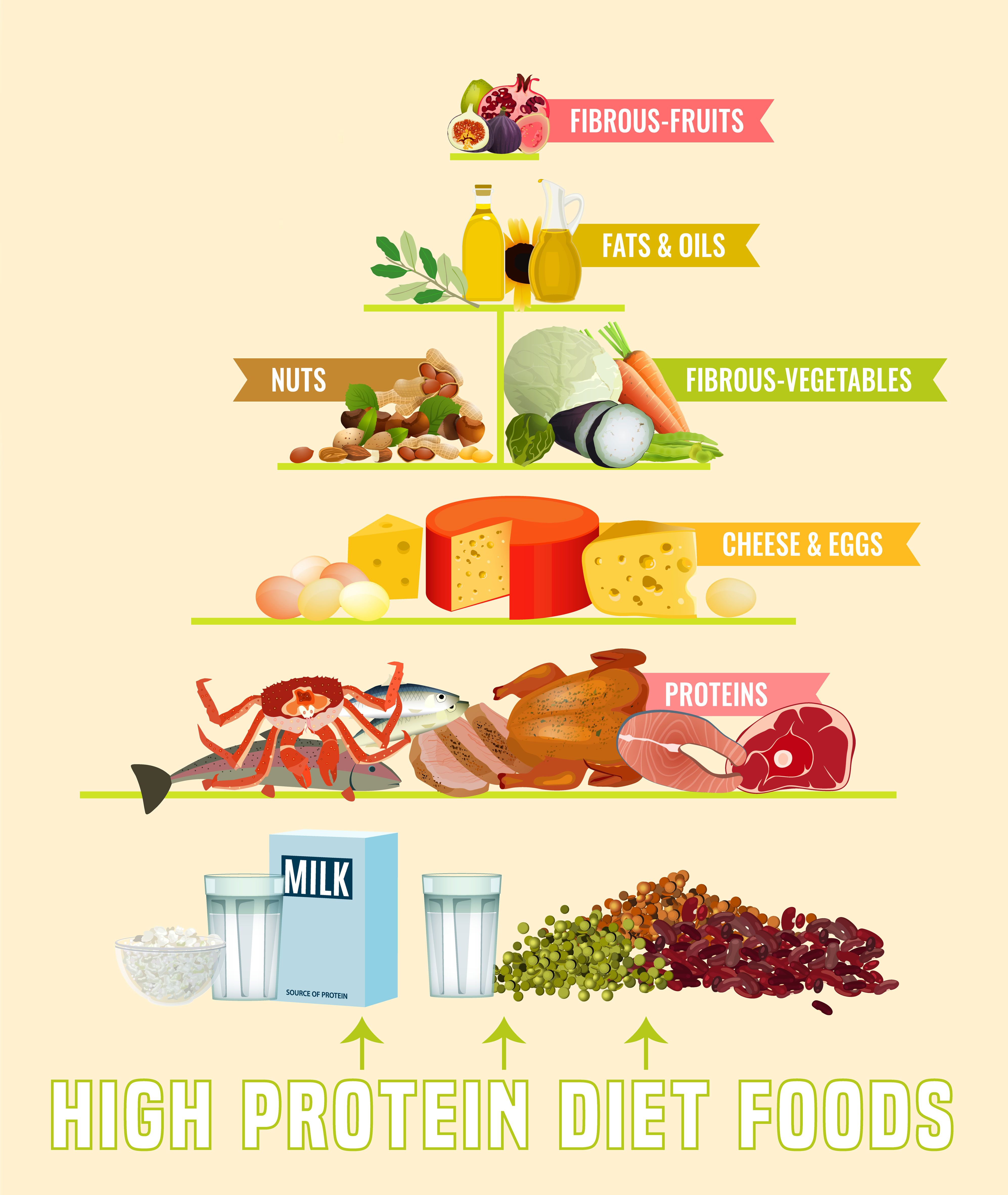Eiweiß Diät: Food-Pyramide
