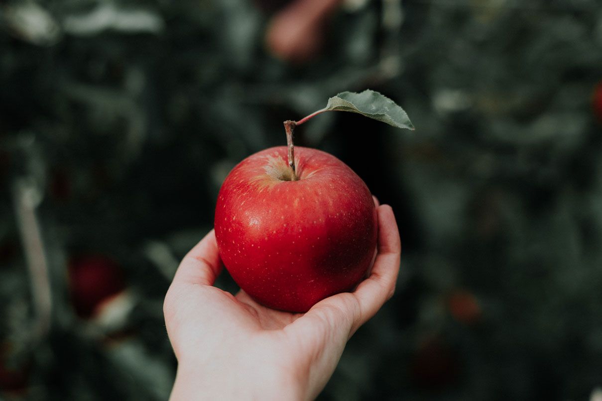 Äpfel im Smoothie liefern Vitamine, Mineralstoffe und Spurenelemente.