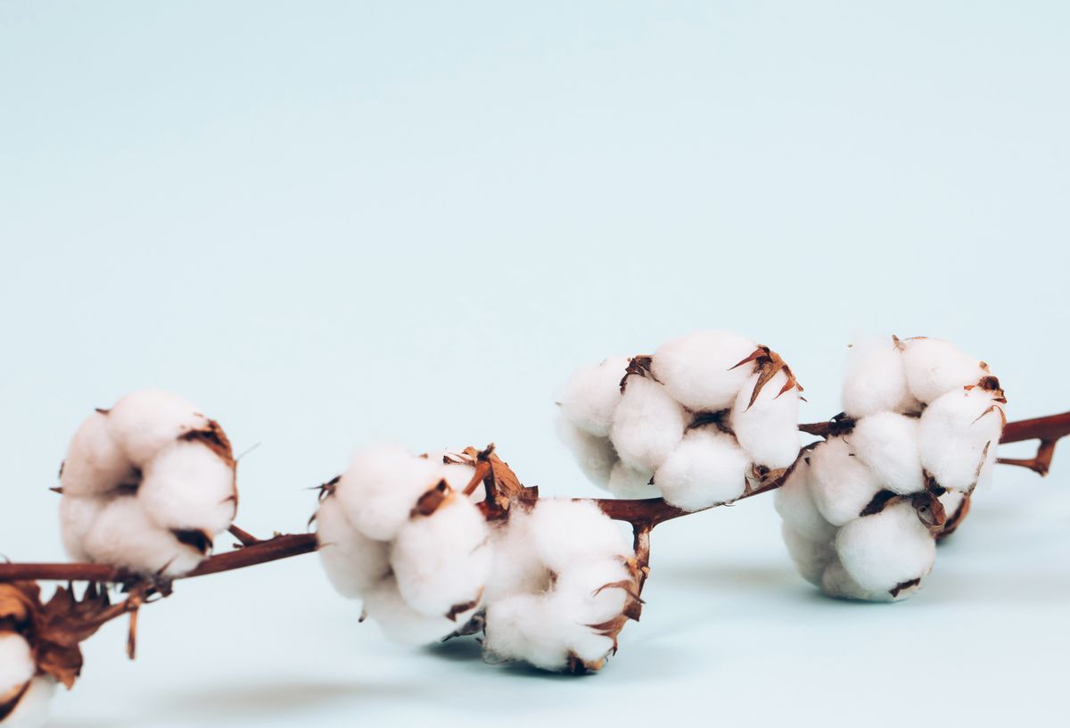 Baumwollhochzeit: Die sch&ouml;nsten Ideen zum 2. Hochzeitstag