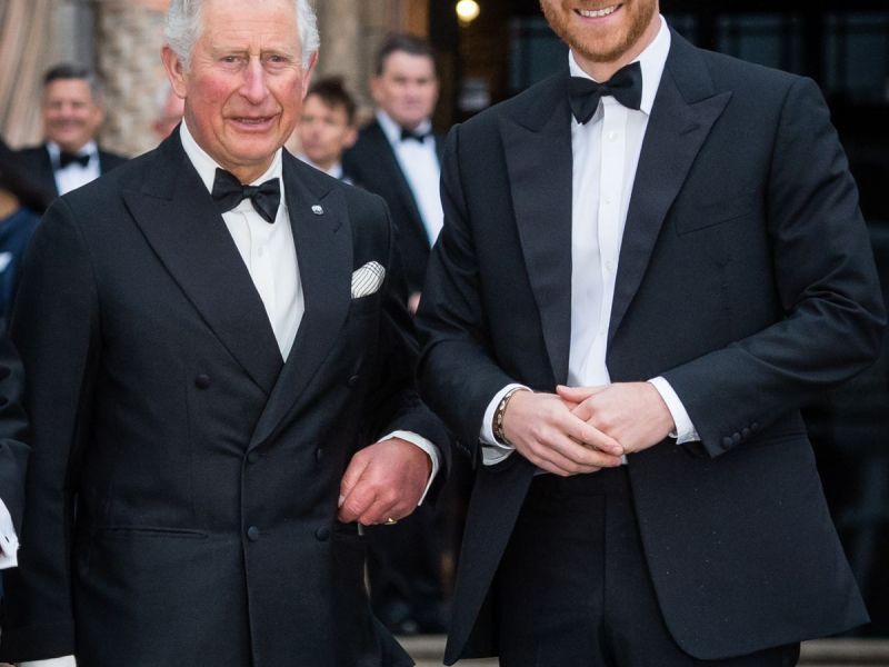 Prinz Charles: Gespräch mit Prinz Harry nur unter DIESER Bedingung