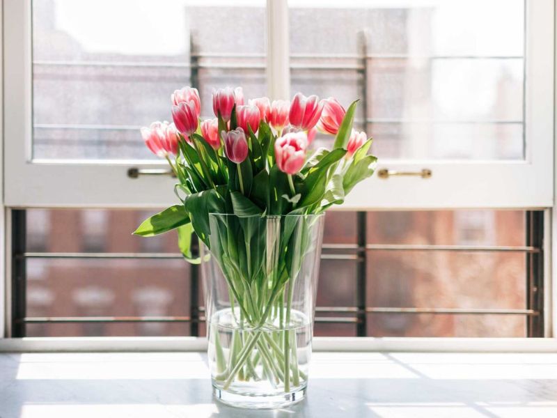 Tulpen länger frisch halten: Tipps und Hausmittel