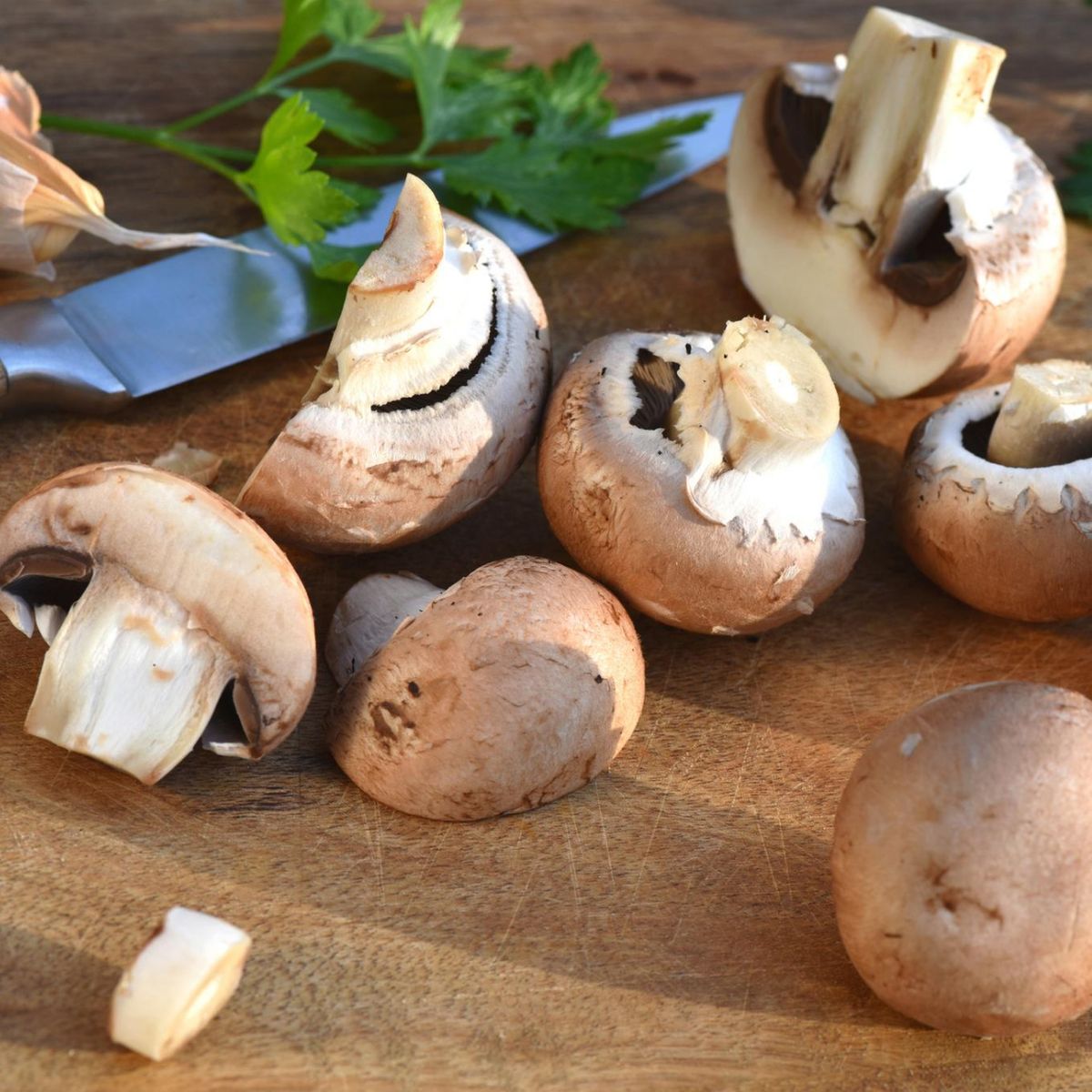 Champignons roh essen