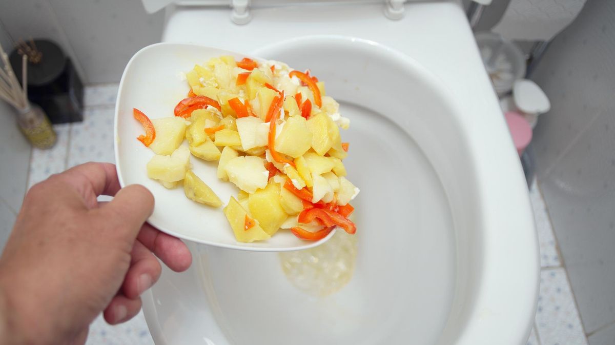 D&uuml;rfen Essensreste in die Toilette?