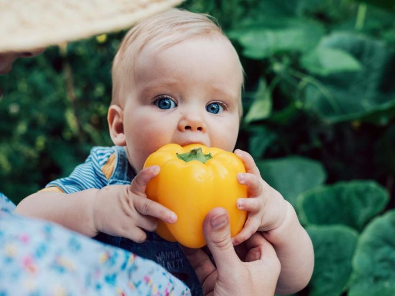Ab wann dürfen Kleinkinder bestimmte Lebensmittel essen?
