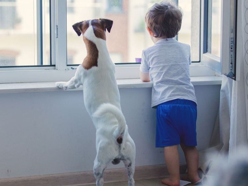 Wie Kinder lernen, Geduld zu haben