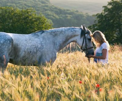Schwangere Reiterinnen sollten sich von ihrem Arzt beraten lassen. Schwangere Reiterinnen sollten sich von ihrem Arzt beraten lassen.