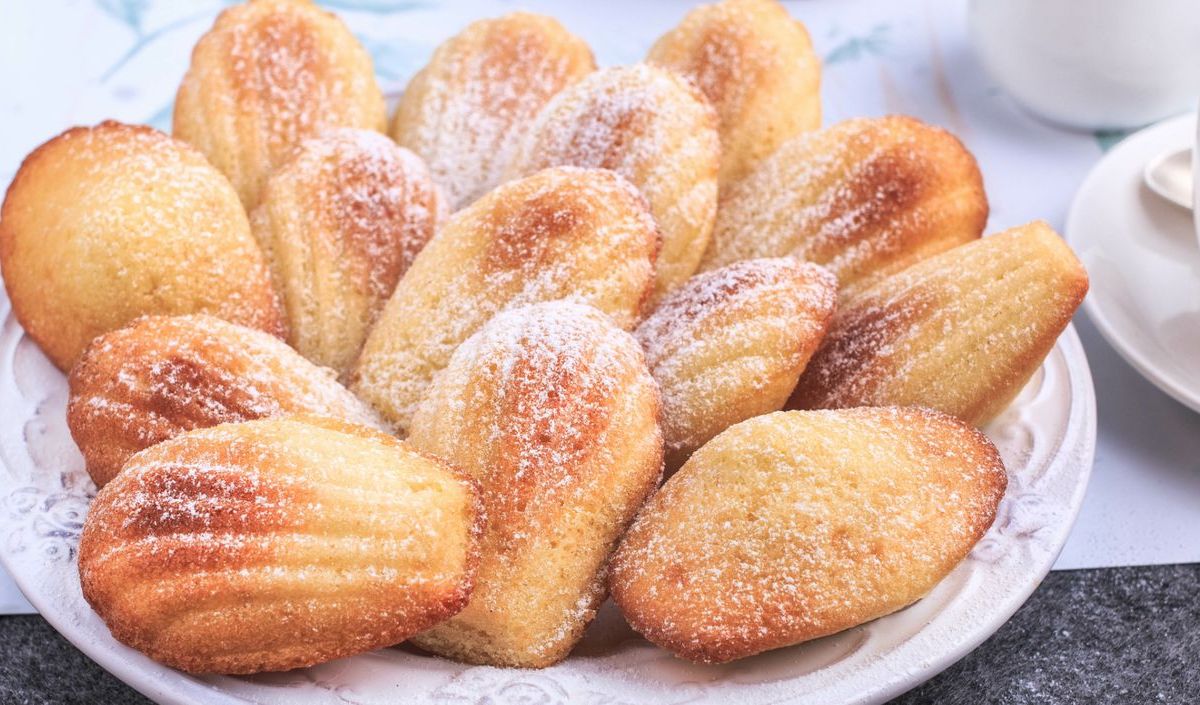 Selbst gemachte Madeleines mit Puderzucker auf einem weißen Teller.