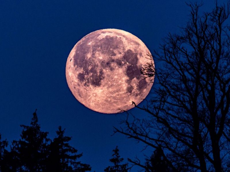 Ein rosa gefärbter Vollmond am dunklen Nachthimmel.