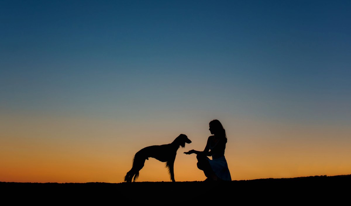 Frau mit einem Hund vor dem Abendhimmel