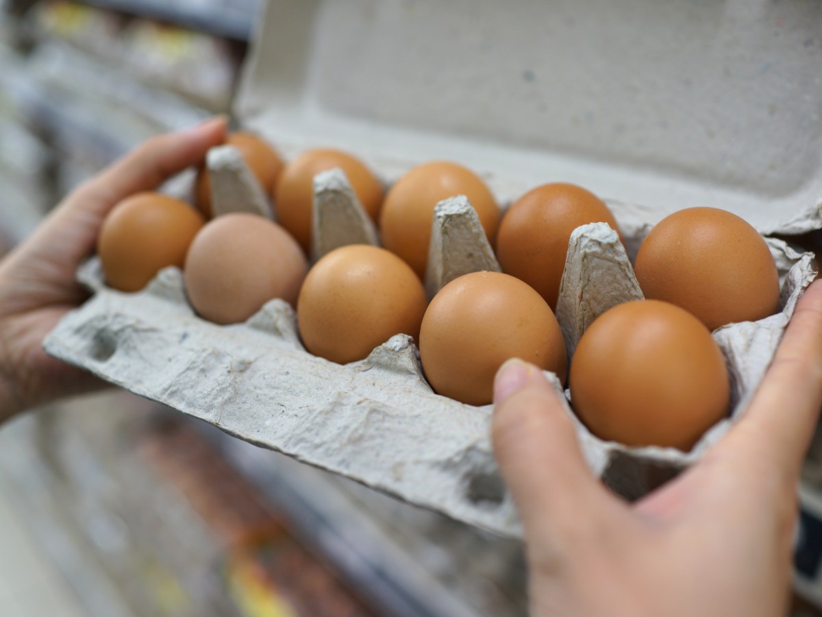 Person hält einen Eierkarton mit 10 Eiern.