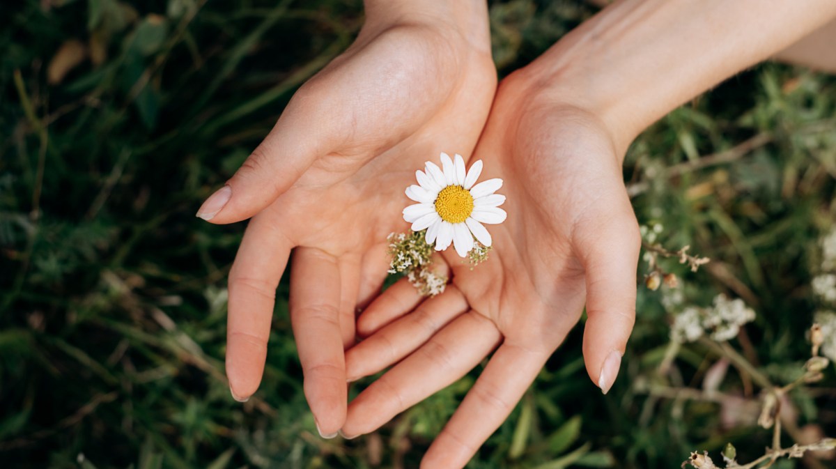 Frau hält Blume in der Hand