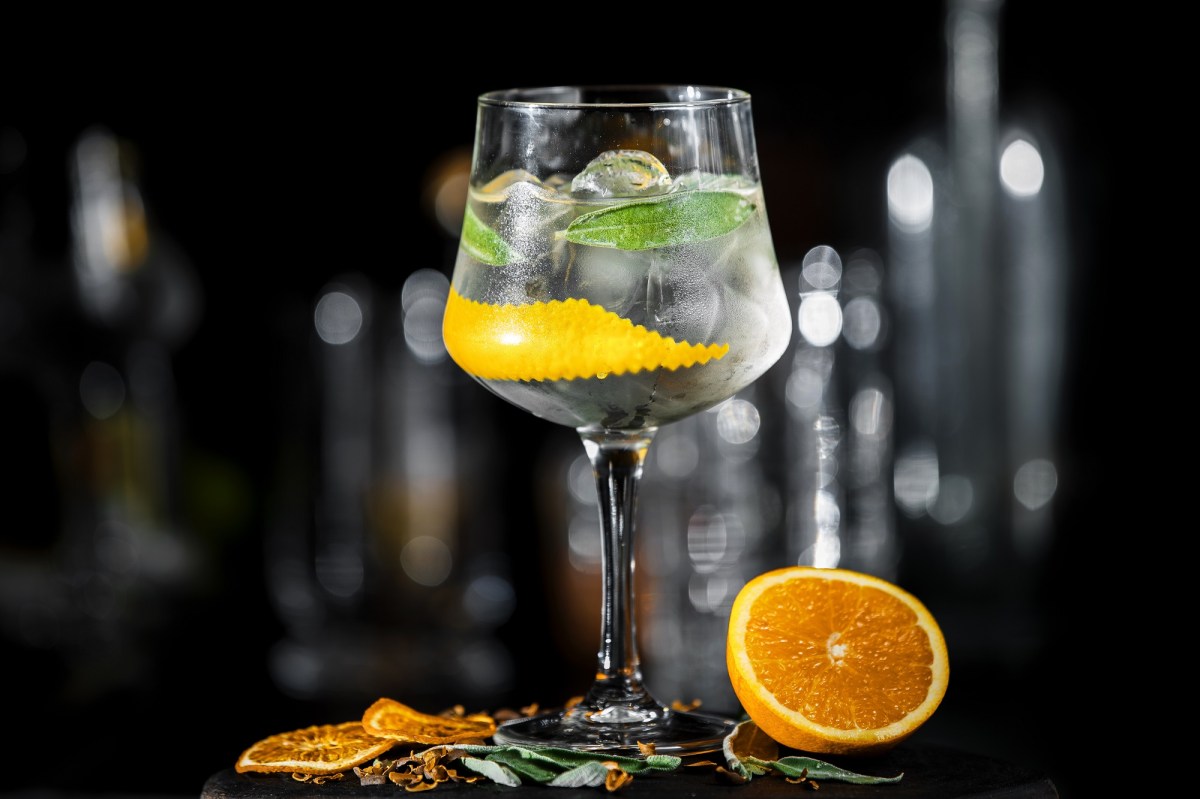 Ein Glas Gin Tonic Spritz mit Eiswürfeln, Zitronenzeste und Minze auf dunklem Untergrund, daneben liegen eine angeschnittene Zitrusfrucht und Zitrusscheiben.