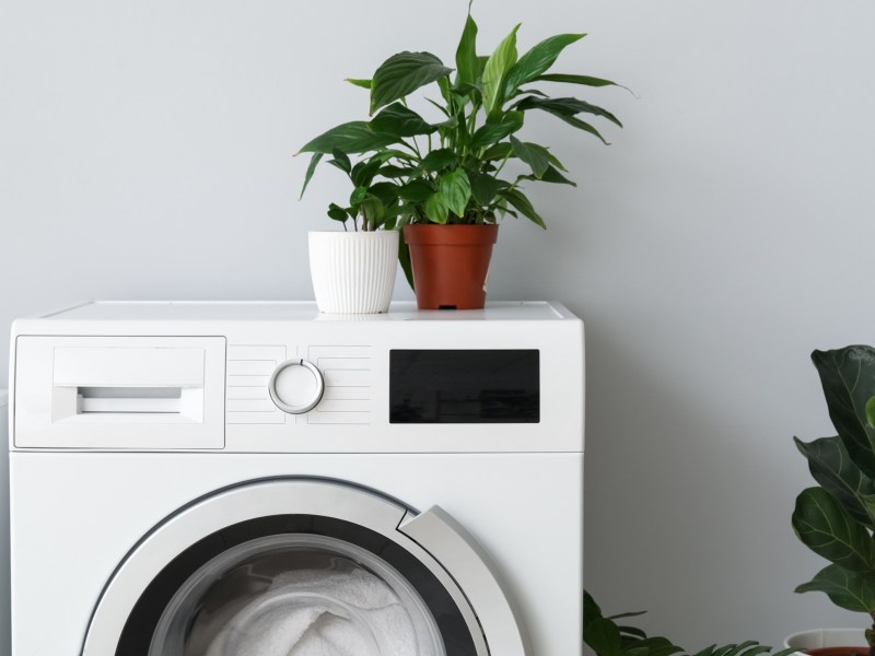 Waschmaschine mit Pflanze auf der Abdeckung und Pflanze auf dem Boden, die mit Wäsche gefüllt ist