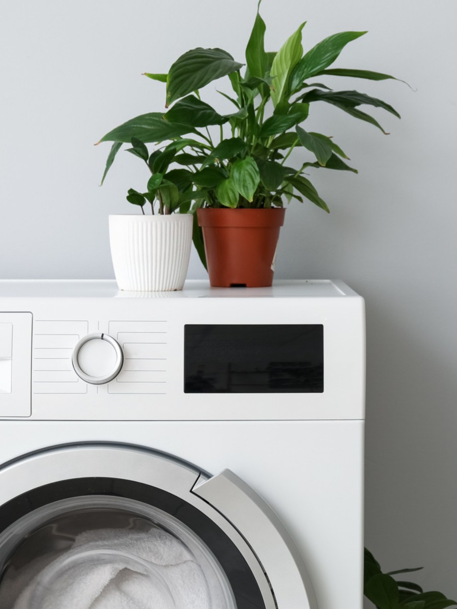 Eco-Modus bei Spülmaschinen & Co.: Spare ich damit wirklich Geld oder ist ein kurzer Waschgang sparsamer?