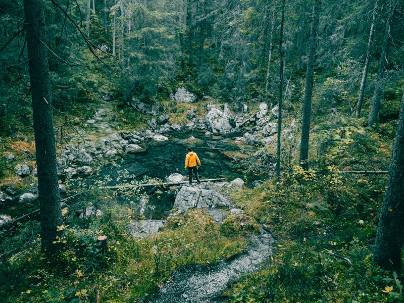 Mann in einem mystischen Wald an einem Bach