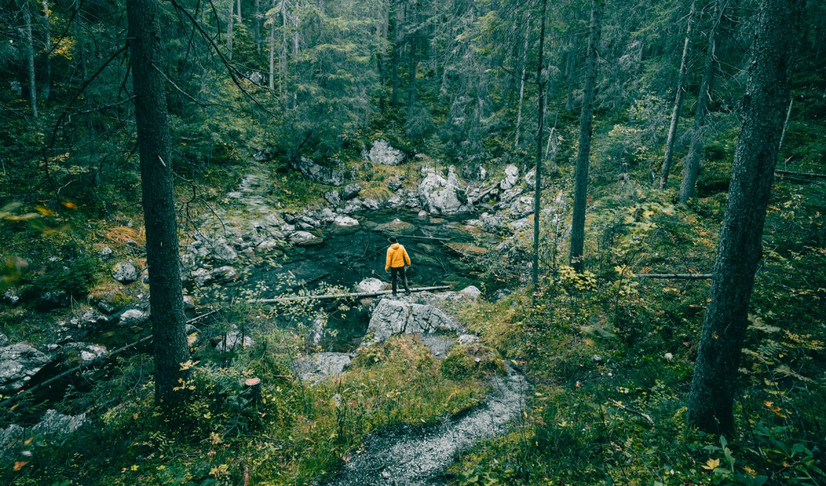 Mann in einem mystischen Wald an einem Bach