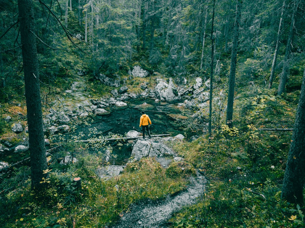 Mann in einem mystischen Wald an einem Bach