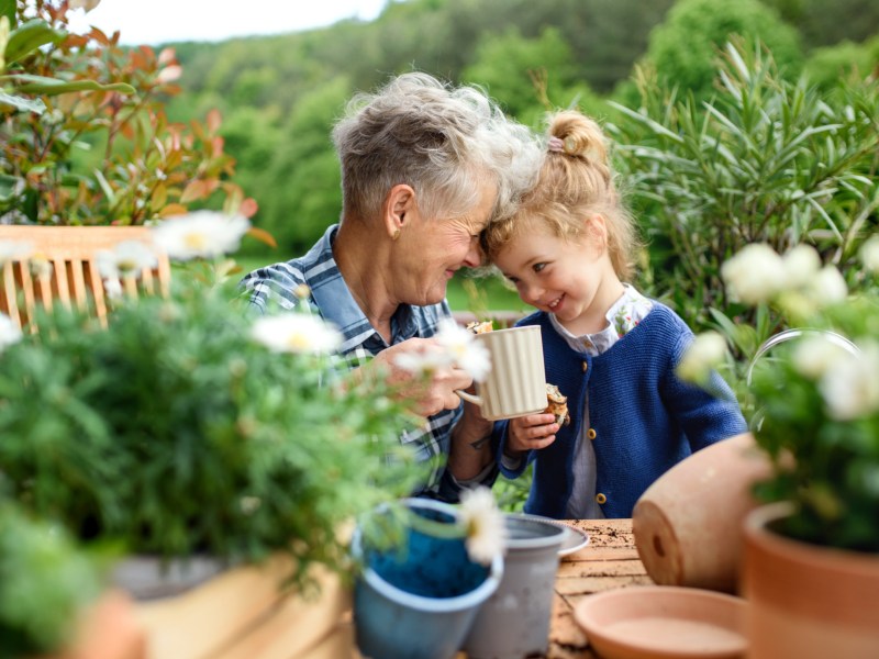 Oma mit ihrem Enkelkind im Garten von Blumen umgeben, die sich mit der Stirn berühren und in die Augen schauen