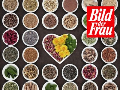 Von M&ouml;nchspfeffer bis Steinklee: 20 Frauenkr&auml;uter