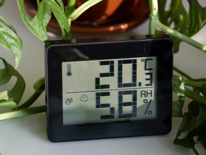 Hygrometer zwischen Pflanzen in Wohnung.