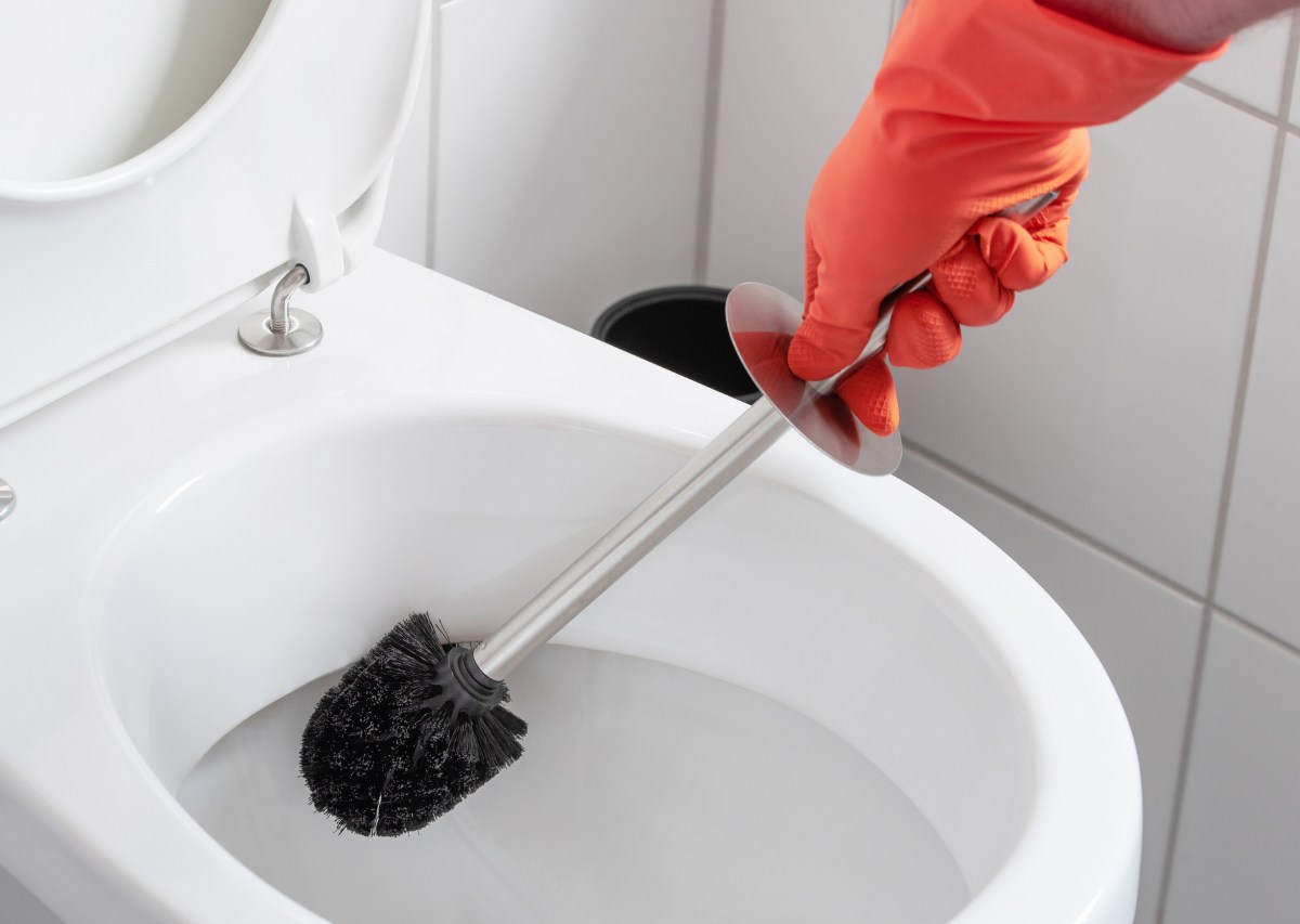 Eine Person nutzt die Klob&uuml;rste, um damit die Toilette zu putzen.