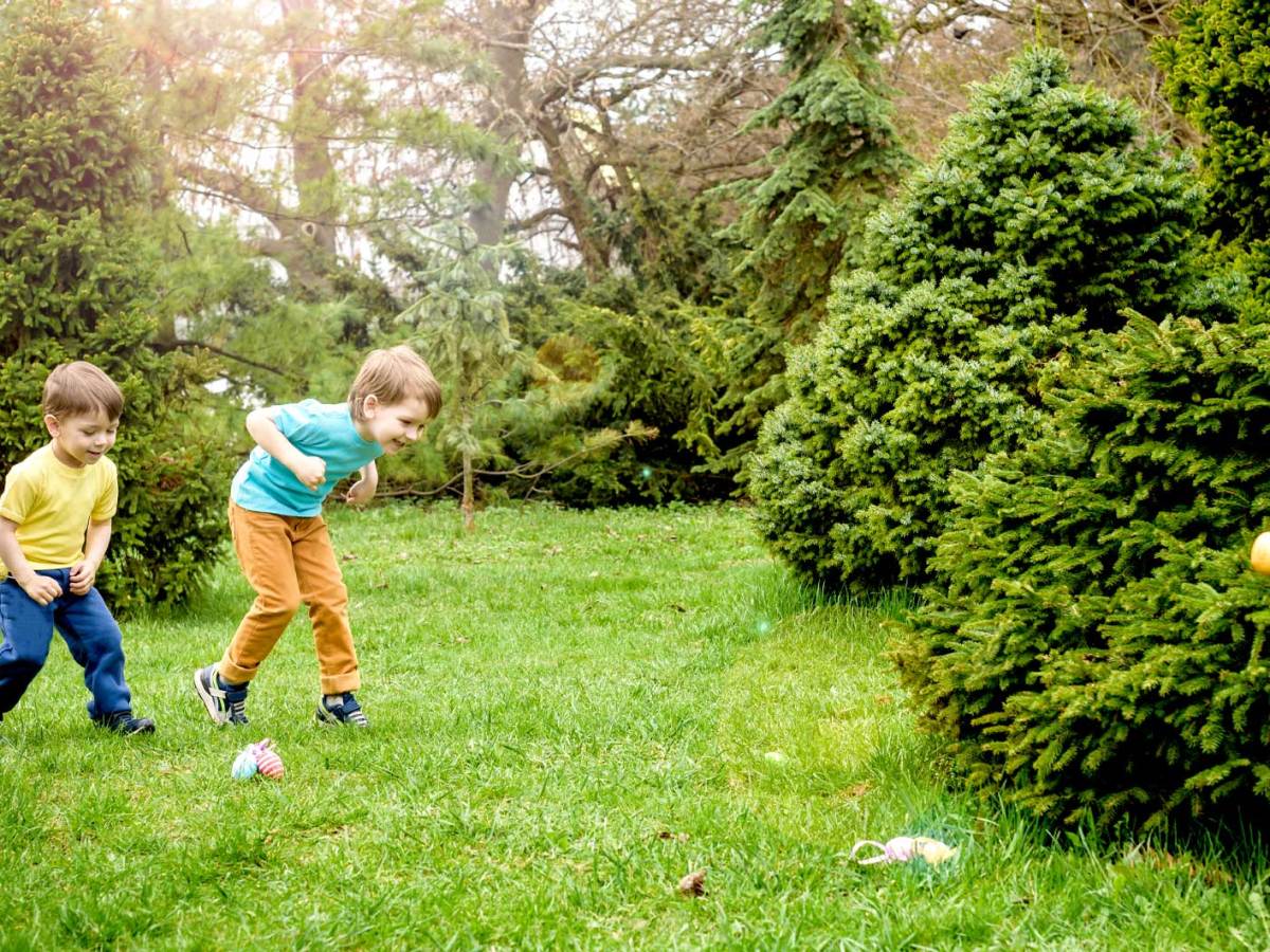 Zwei kleine Jungs suchen im Garten nach Ostereiern.