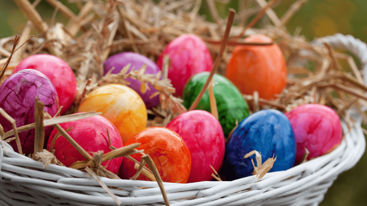 Bunt gefärbte Ostereier in einem Osternest.