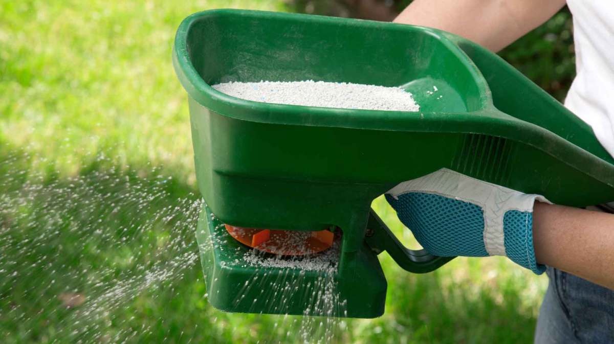 Person düngt den Rasen.