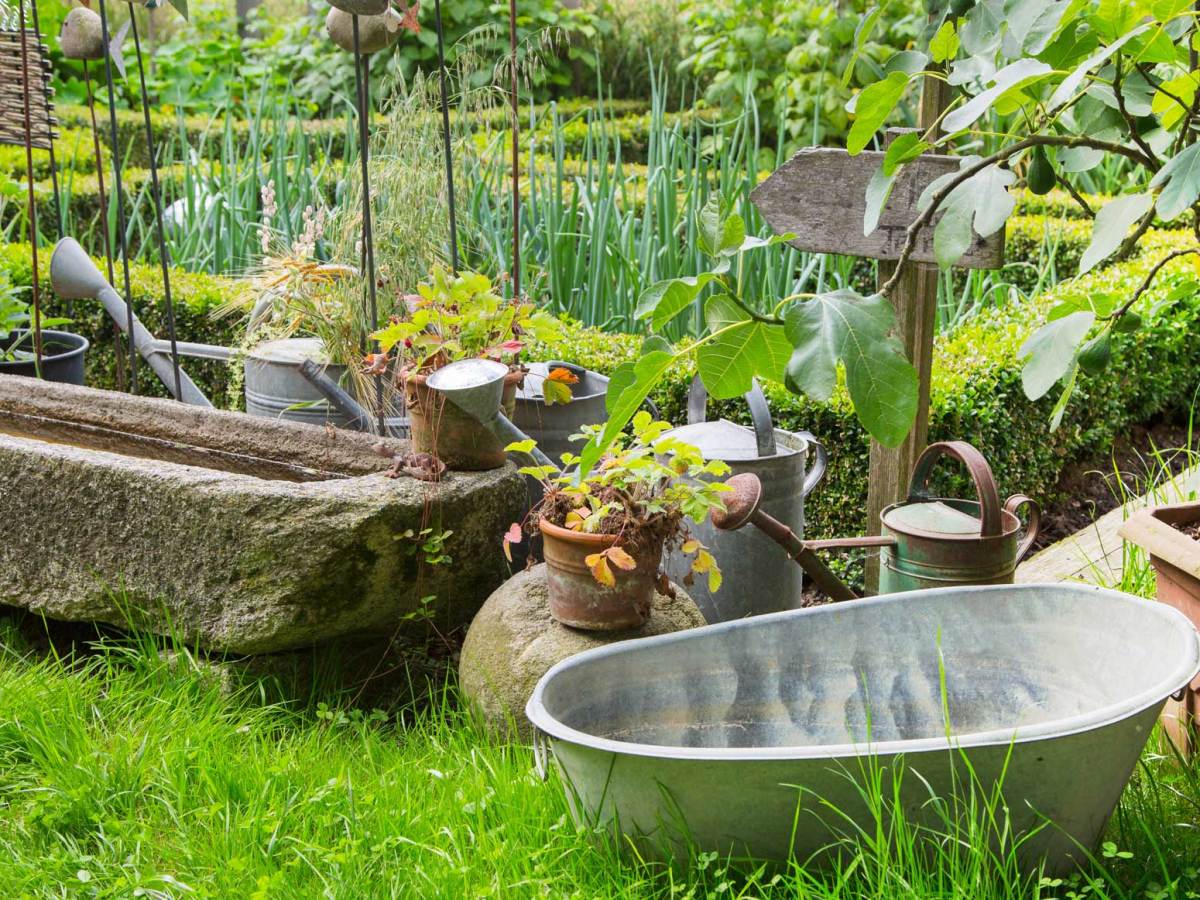 Blick in Garten mit Trog und Gemüsebeet