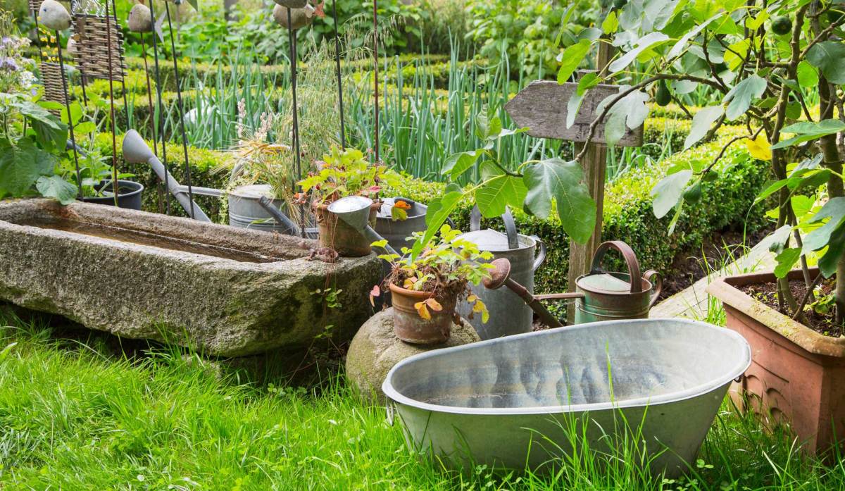 Blick in Garten mit Trog und Gemüsebeet