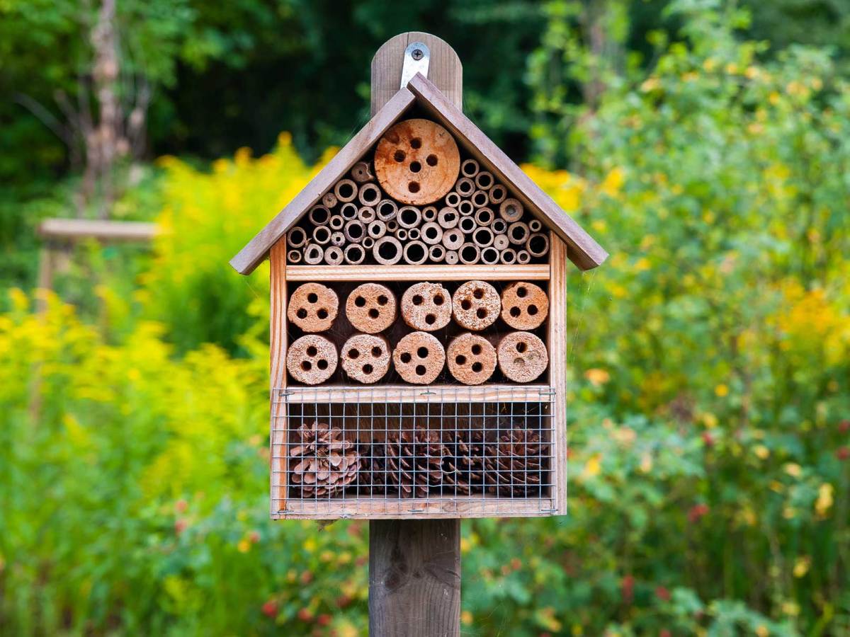 Insektenhotel in einem grünen Garten