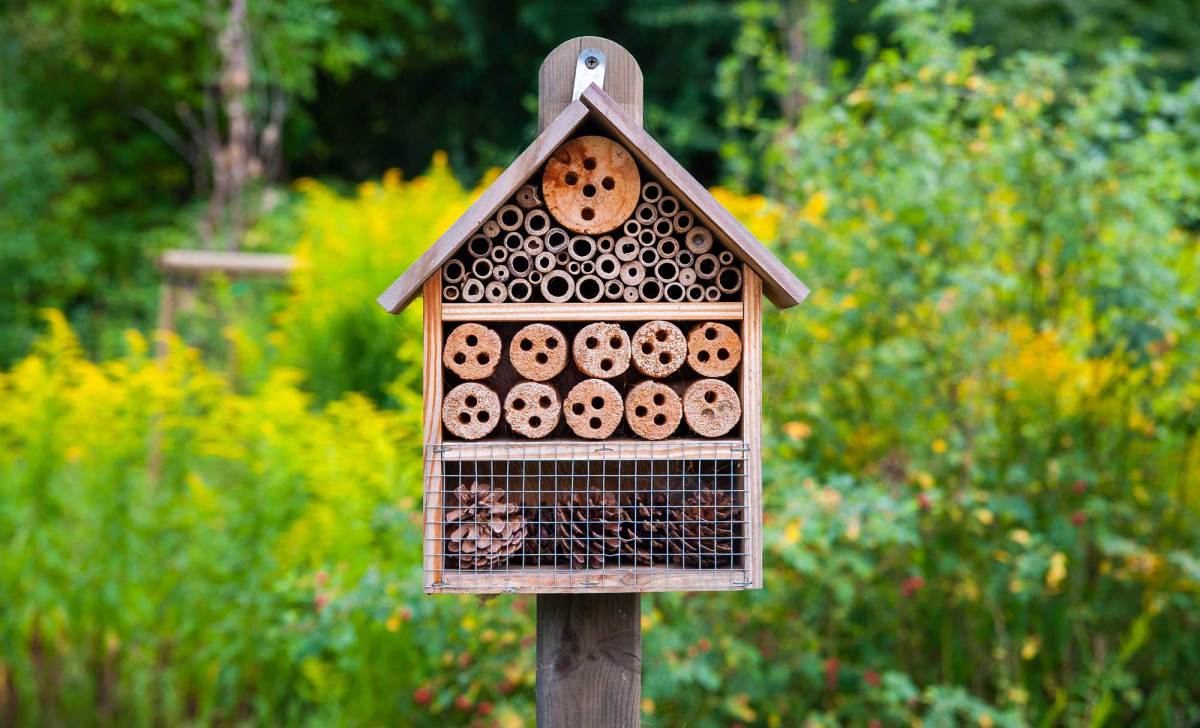 Insektenhotel in einem grünen Garten