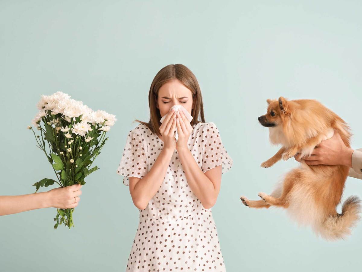 Allergische Reaktion: Junge Frau mit Taschentuch niest neben Blumenstrau&szlig; und Hund in hellem Raum.