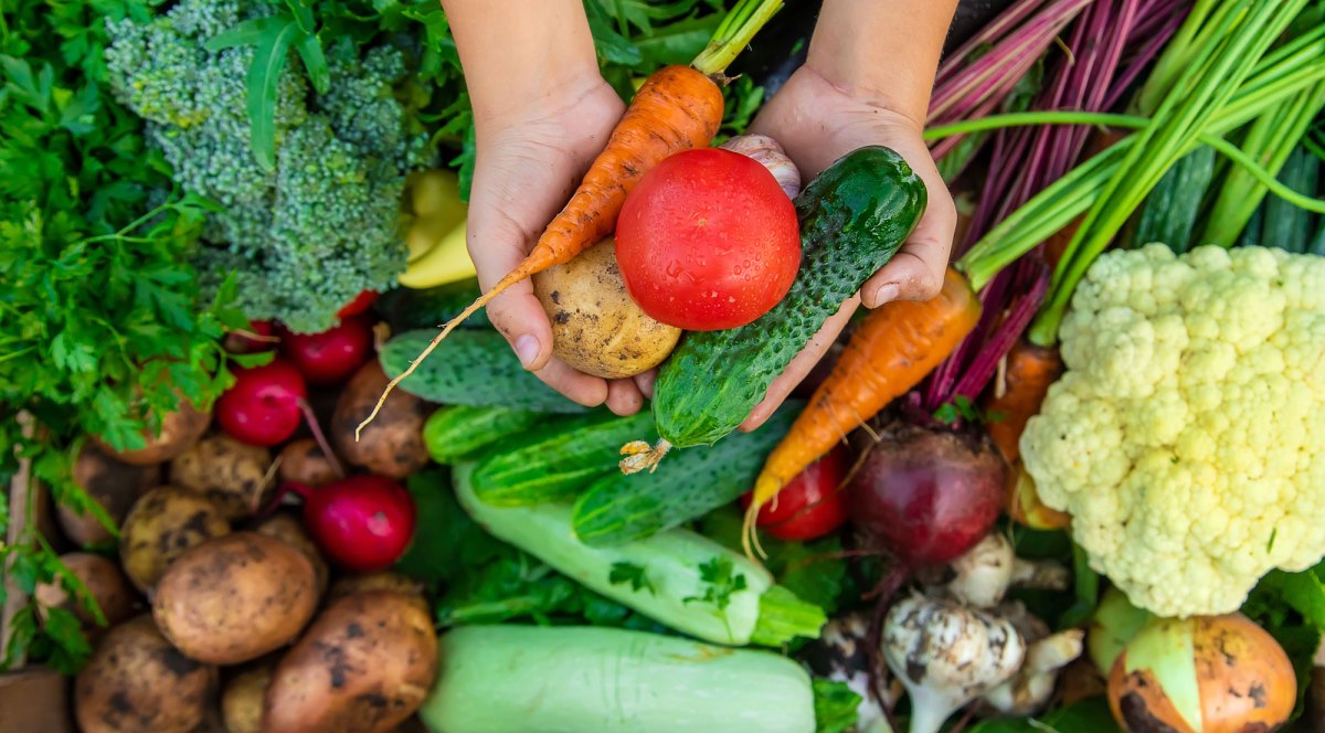 Frisch geeerntetes Gemüse in Händen