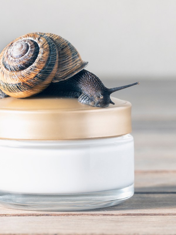 Bei Rossmann: Diese Creme mit Schneckenschleim wirkt gegen Falten