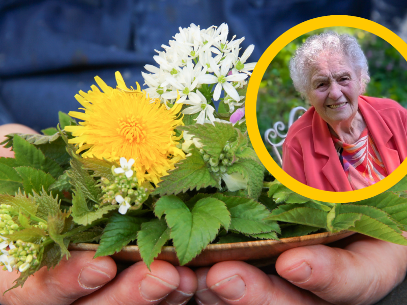 Hand mit Wildkräutern Unkraut und Bild von Helene Belke