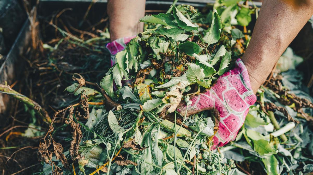Frau hält Kompost in der Hand.