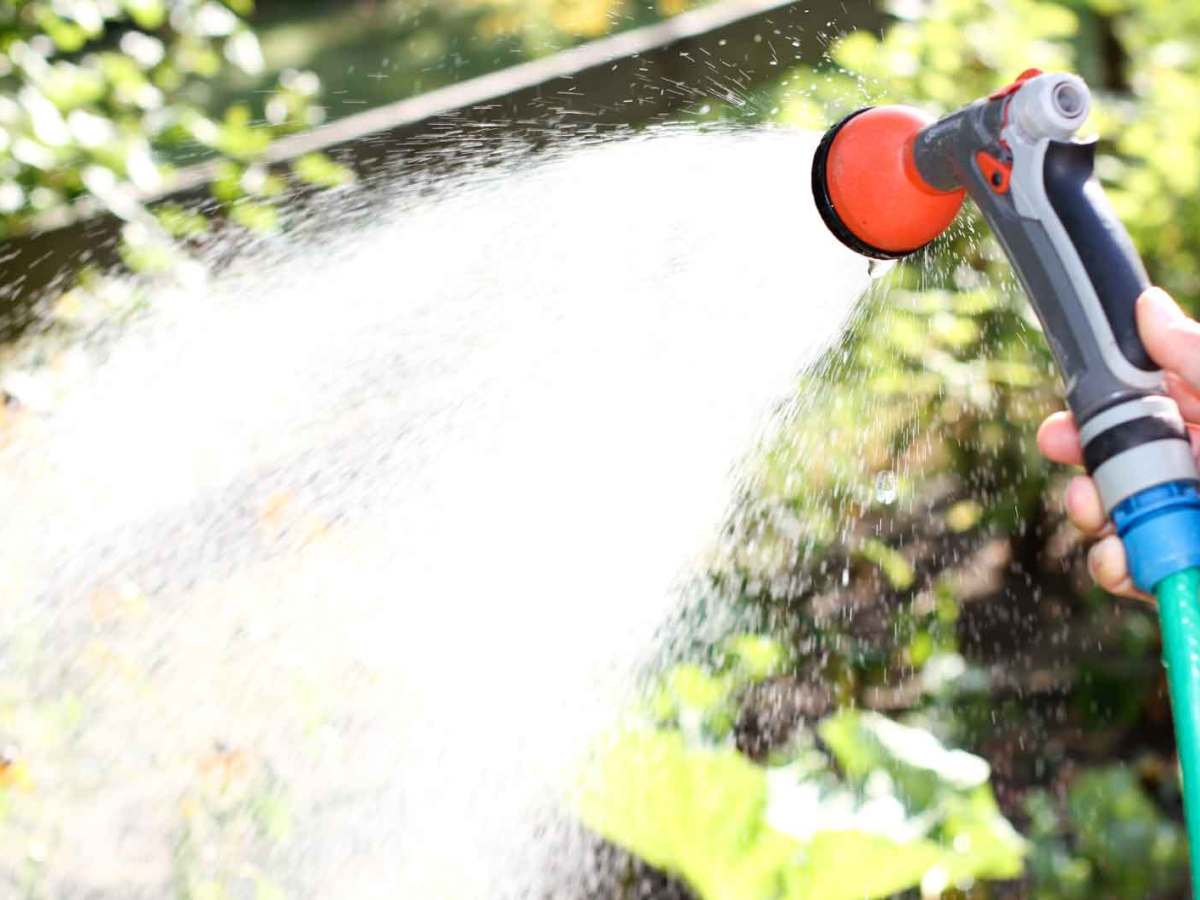 Frau gie&szlig;t mit einem Gartenschlauch den Garten.